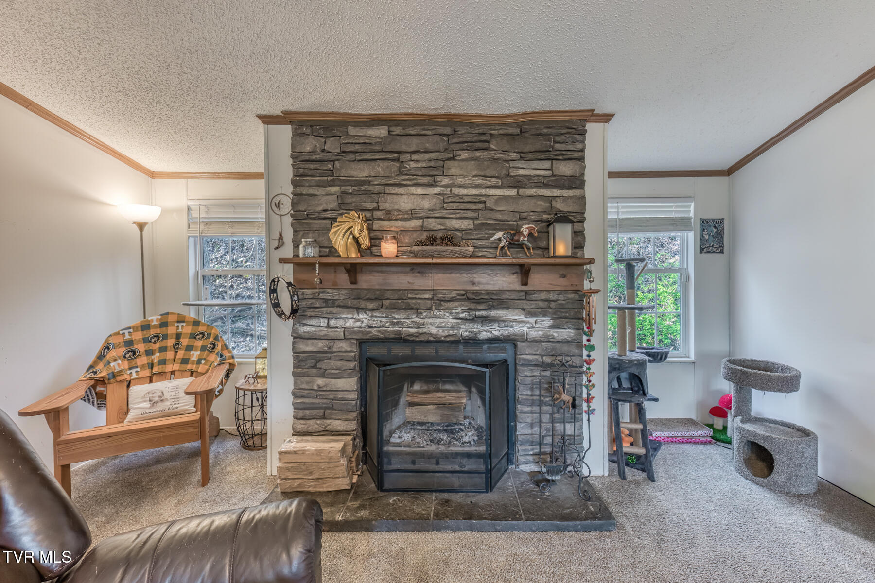 1424 Reedy Creek Road Bristol, TN 37620 - Photo 5 of 64 1424 Reedy Creek Rd-5