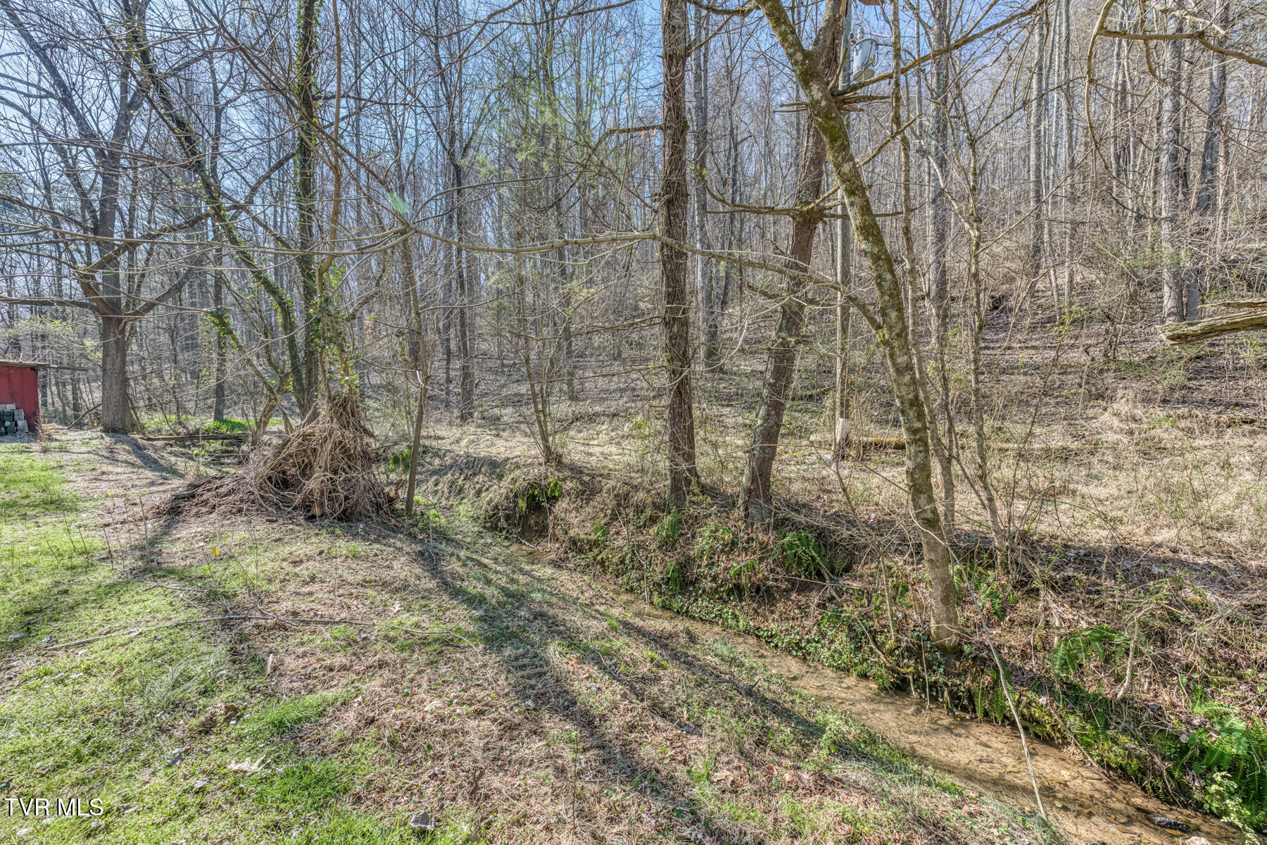 1424 Reedy Creek Road Bristol, TN 37620 - Photo 51 of 64 1424 Reedy Creek Rd-52