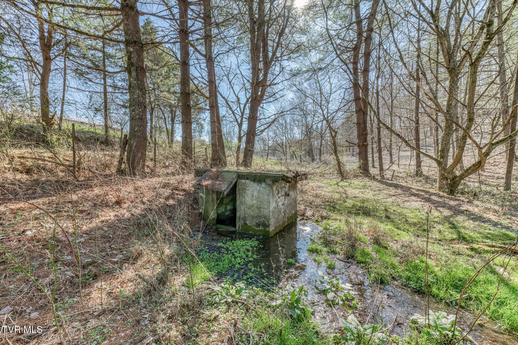 1424 Reedy Creek Road Bristol, TN 37620 - Photo 55 of 64 1424 Reedy Creek Rd-56