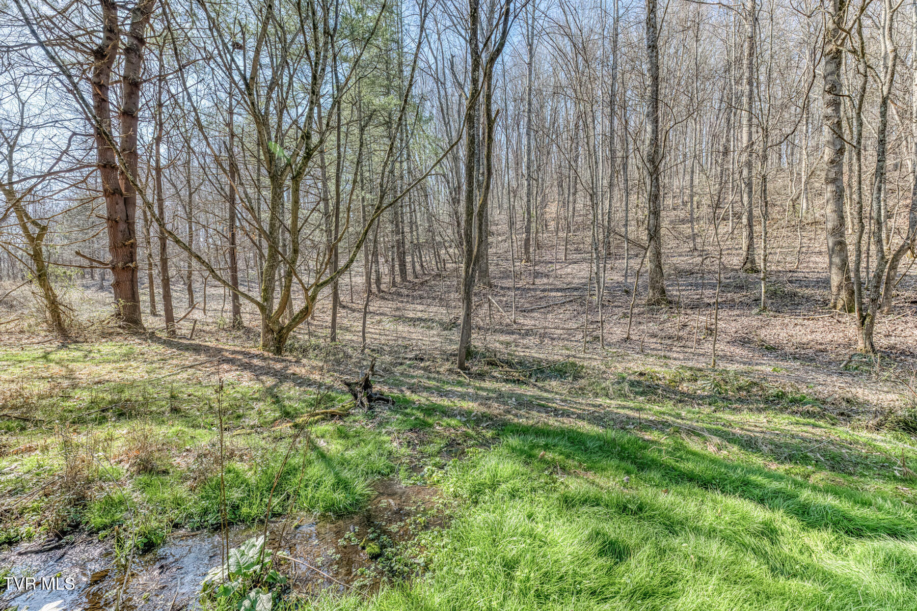 1424 Reedy Creek Road Bristol, TN 37620 - Photo 56 of 64 1424 Reedy Creek Rd-57