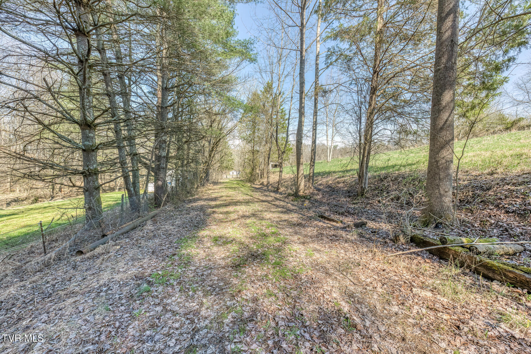 1424 Reedy Creek Road Bristol, TN 37620 - Photo 57 of 64 1424 Reedy Creek Rd-58
