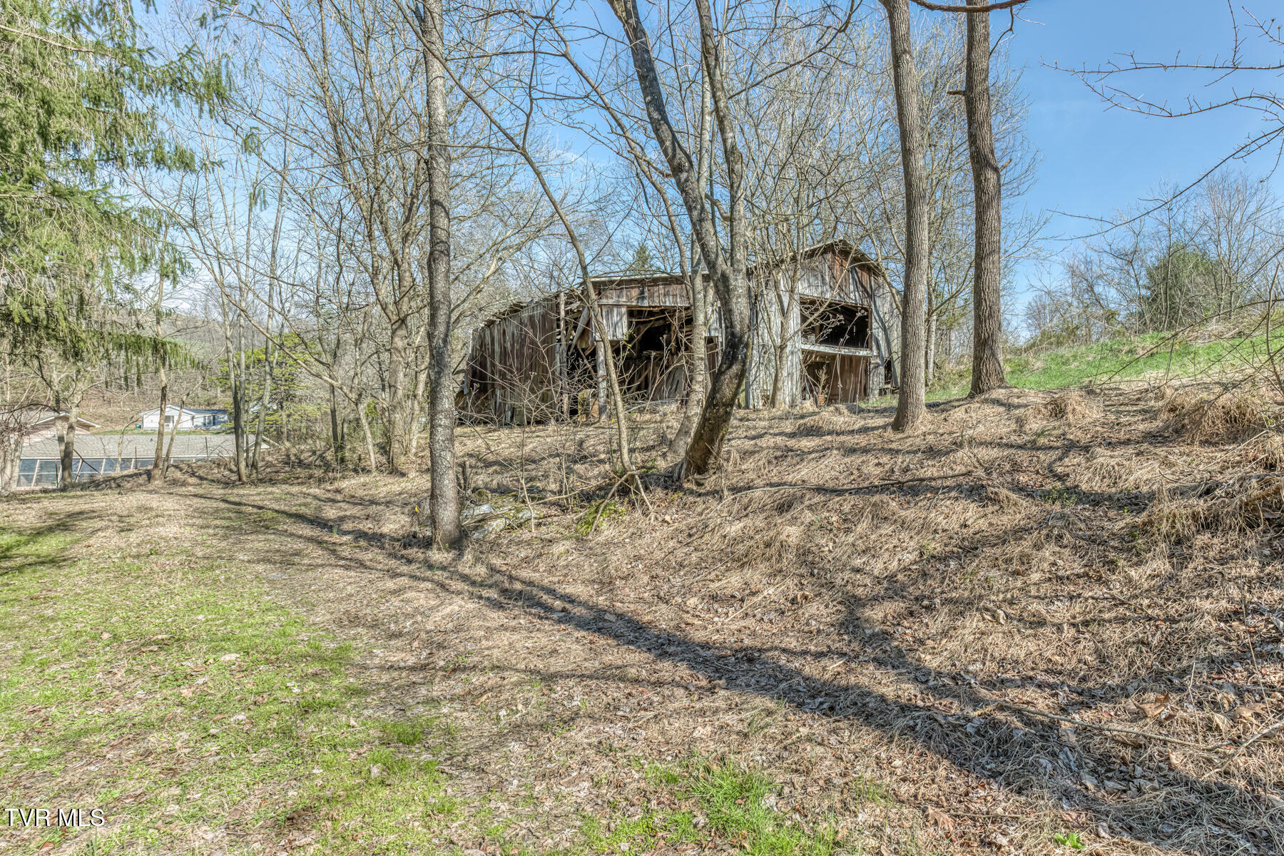 1424 Reedy Creek Road Bristol, TN 37620 - Photo 58 of 64 1424 Reedy Creek Rd-59