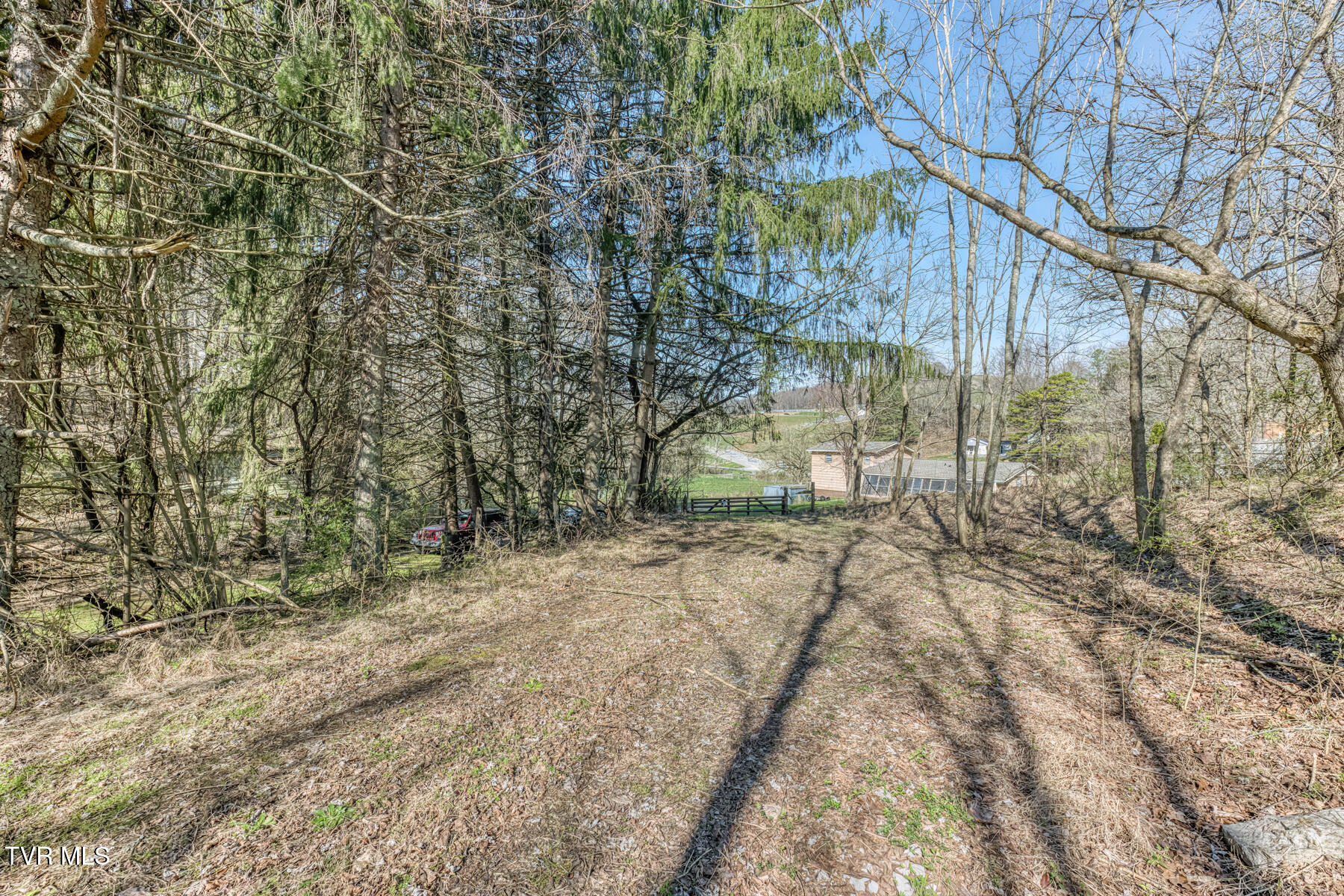 1424 Reedy Creek Road Bristol, TN 37620 - Photo 59 of 64 1424 Reedy Creek Rd-60