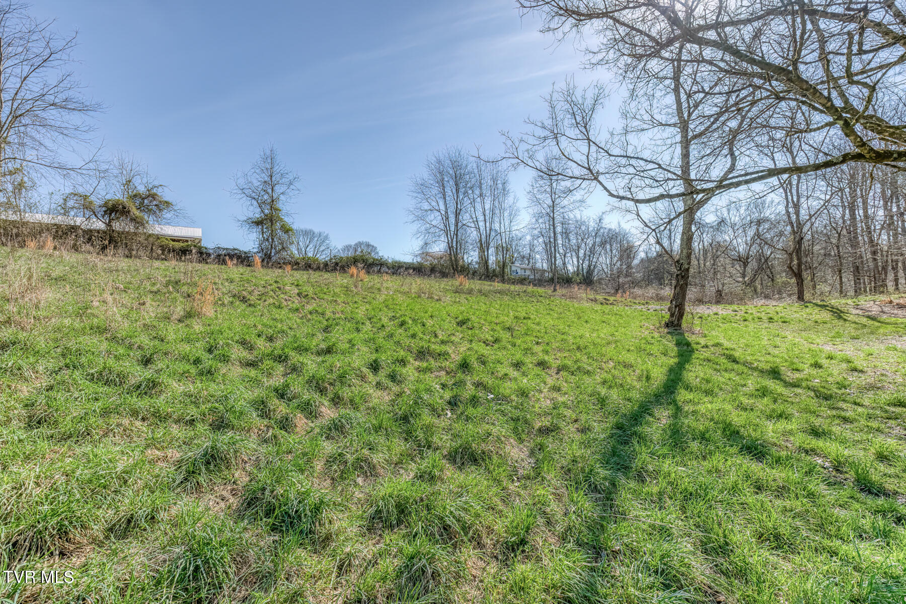 1424 Reedy Creek Road Bristol, TN 37620 - Photo 61 of 64 1424 Reedy Creek Rd-62