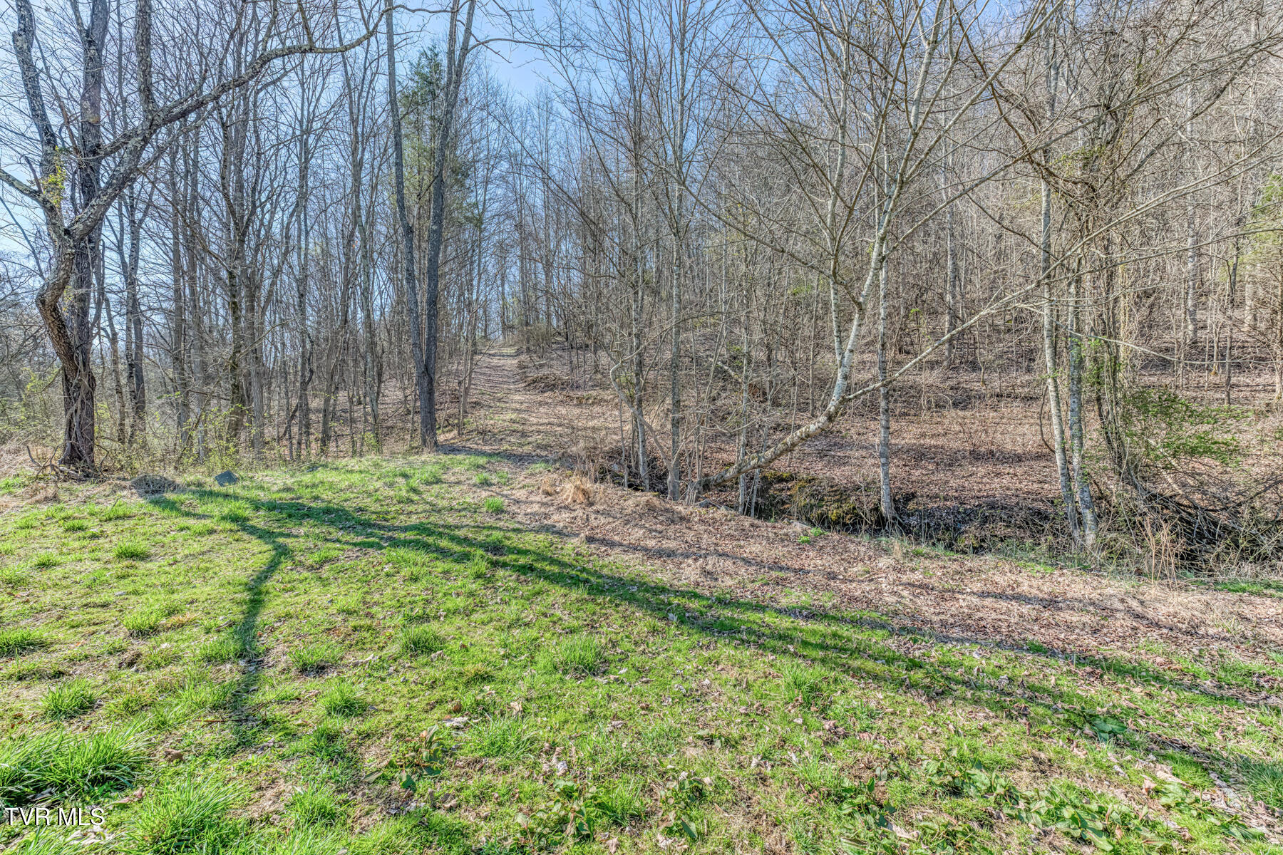 1424 Reedy Creek Road Bristol, TN 37620 - Photo 62 of 64 1424 Reedy Creek Rd-63