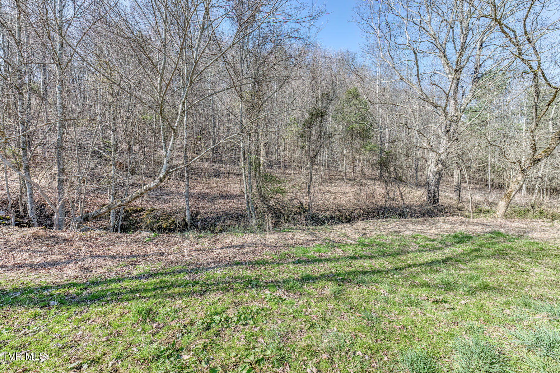 1424 Reedy Creek Road Bristol, TN 37620 - Photo 63 of 64 1424 Reedy Creek Rd-64