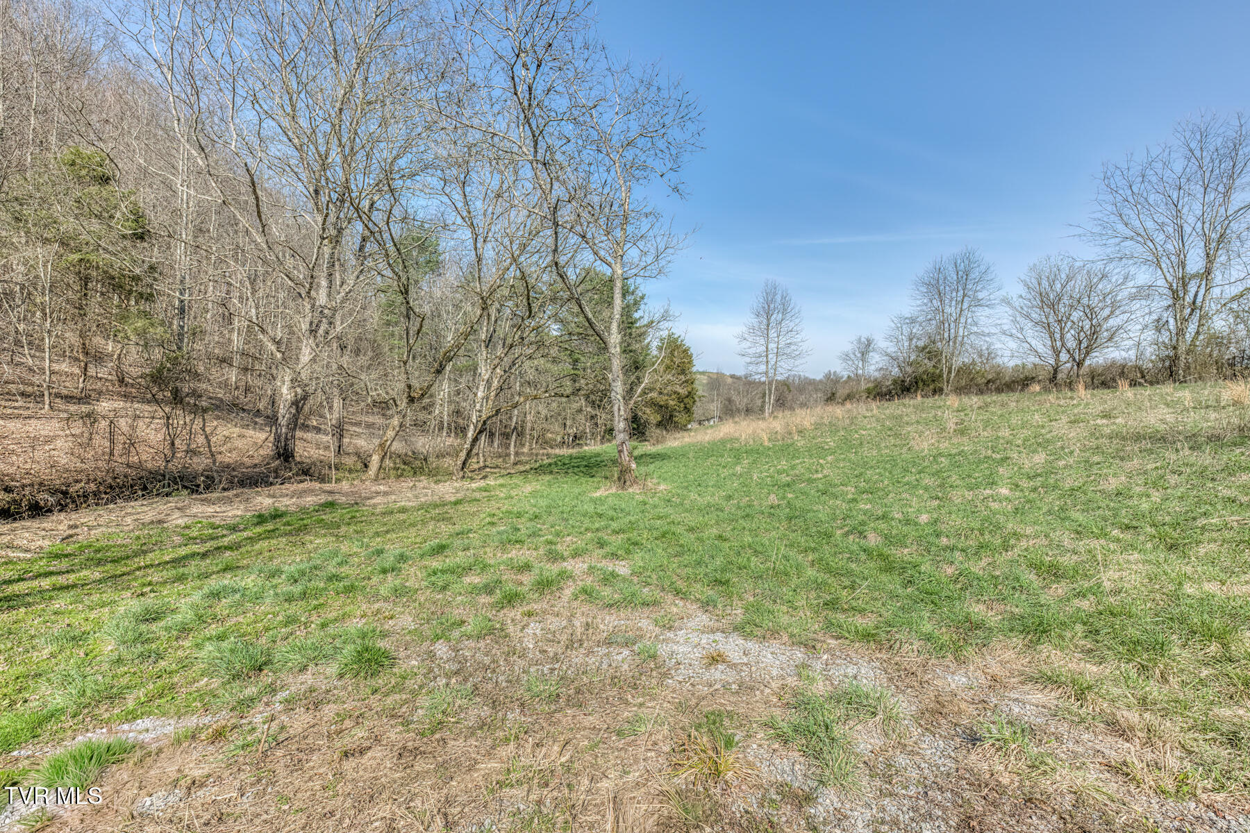 1424 Reedy Creek Road Bristol, TN 37620 - Photo 64 of 64 1424 Reedy Creek Rd-65