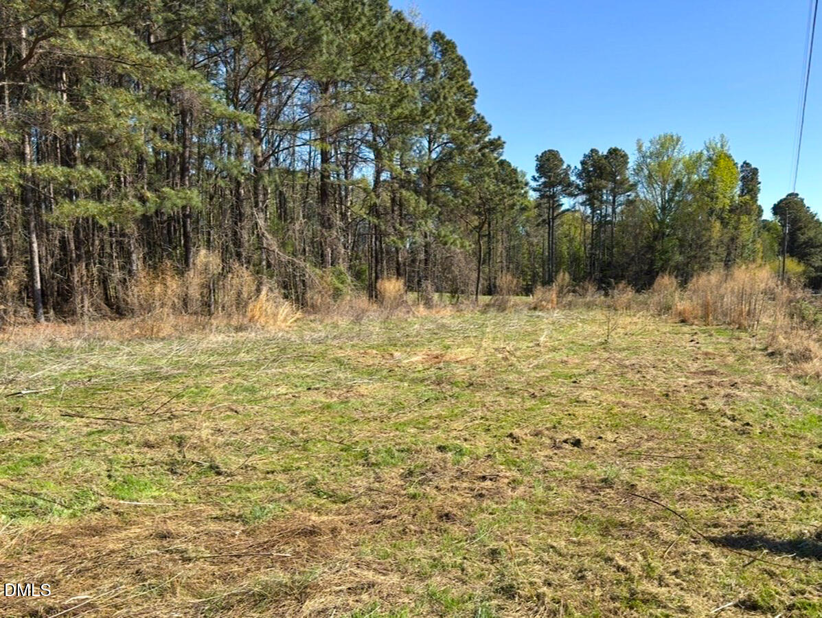 0 Mt Pleasant Church Road Manson, NC 27553 - Photo 3 of 43 3