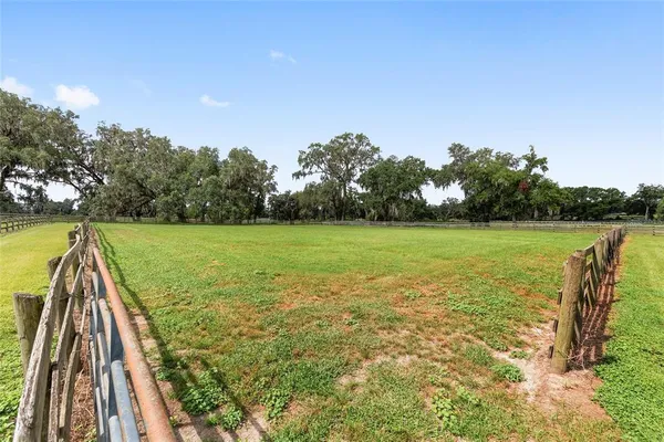 a view of a field with trees in the background