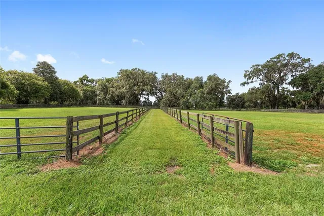 a view of a house with a garden