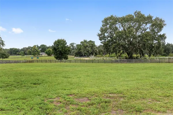 a view of a grassy field with trees