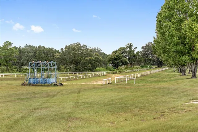 a view of a lake with a mountain in the background