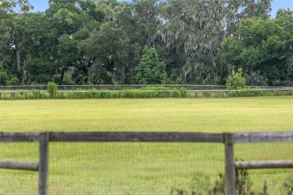 a view of a lake with a mountain