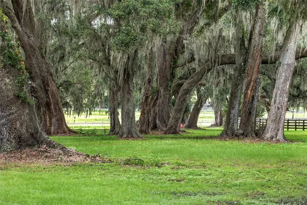 a view of a lake with houses