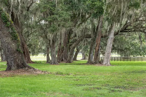 a view of a swimming pool with a yard