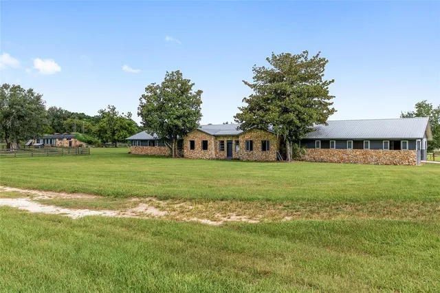 a view of a park with large trees
