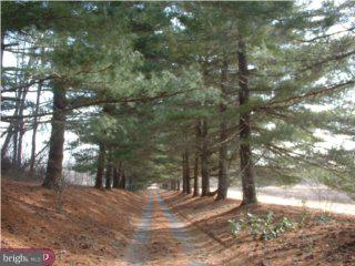 637 Province Line Road Allentown, NJ 08501 - Photo 2 of 6