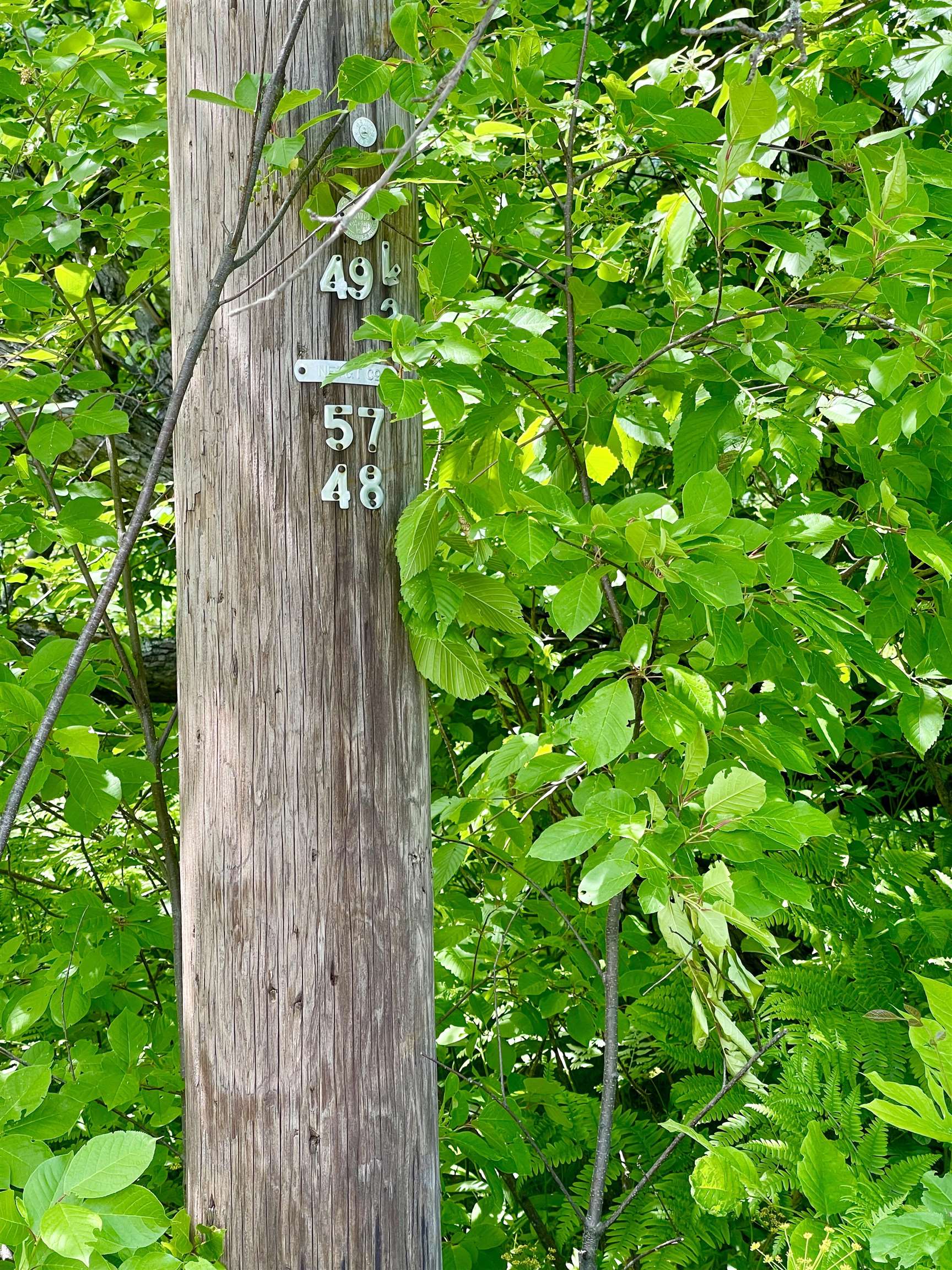 2-3 Bog Road Stratford, NH 03590 - Photo 6 of 6