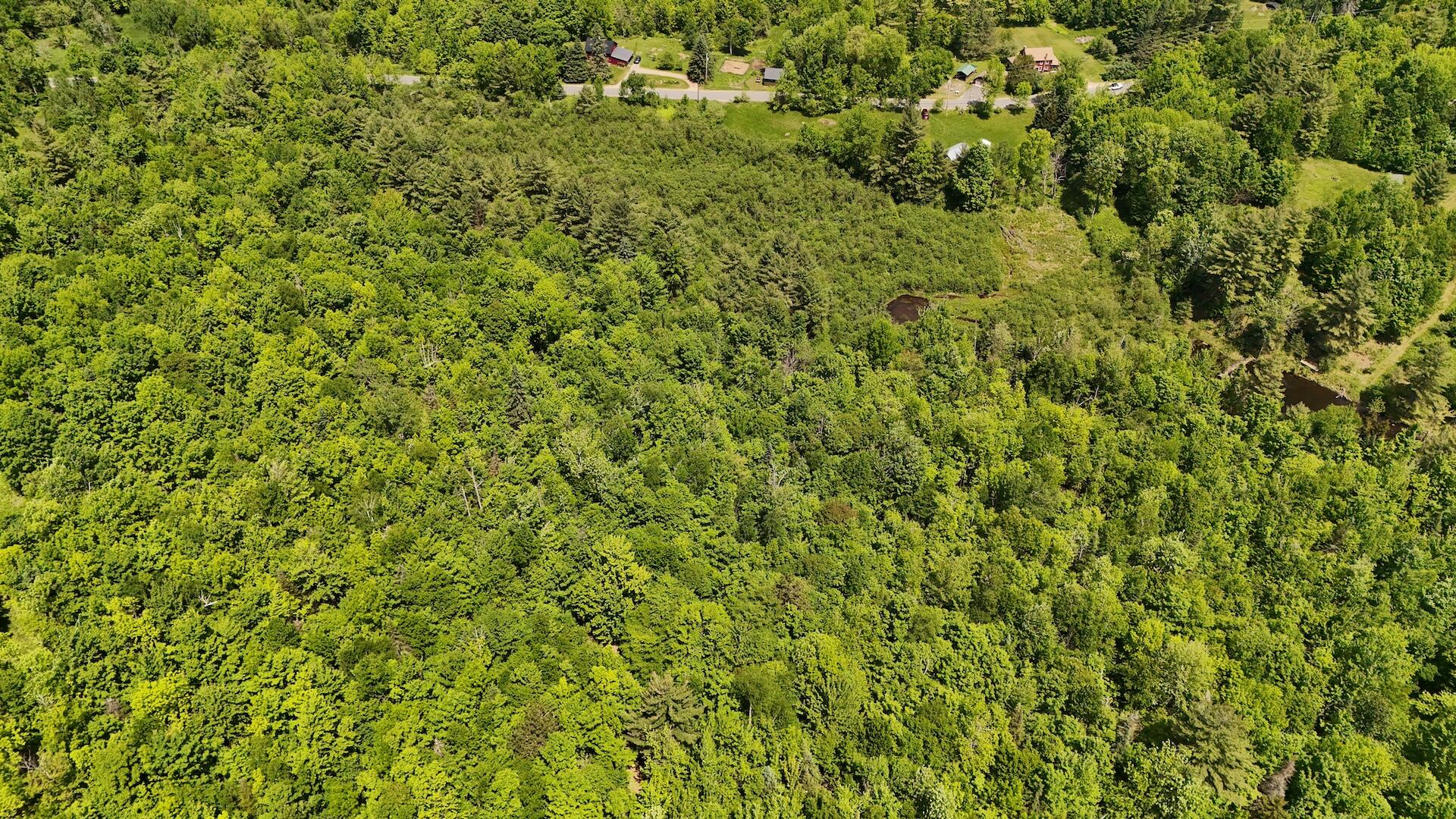 0 Trumbulls Road Upper Jay, NY 12987 - Photo 21 of 22