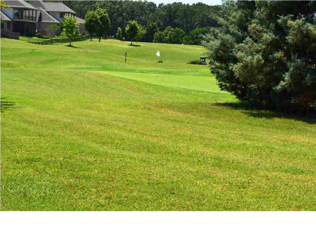 119 Burne Run Madison, MS 39110 - Photo 29 of 29 Photo 29