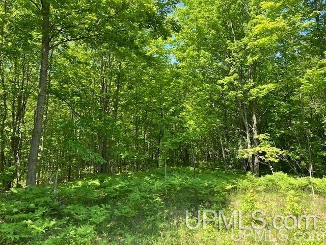 Tbd Worham Road Chassell, MI 49916 - Photo 5 of 45 Gallery Image 5