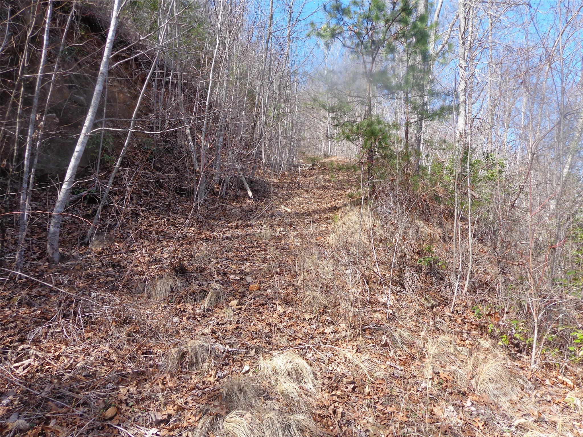Lot 7 Plainview Ridge Sylva, NC 28779 - Photo 5 of 10 Gallery Image 5