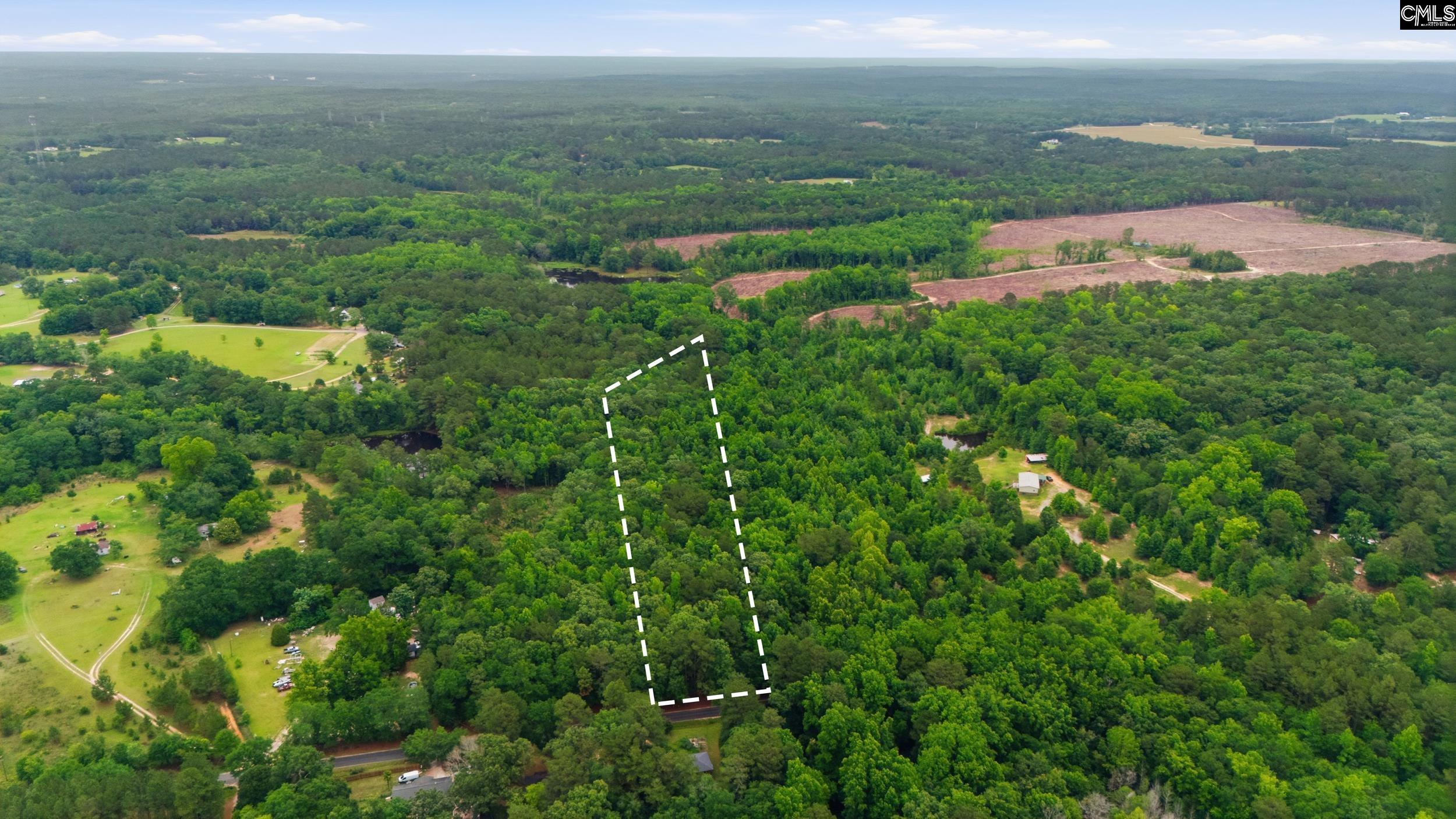 Tbd Basil Road Swansea, SC 29160 - Photo 4 of 19