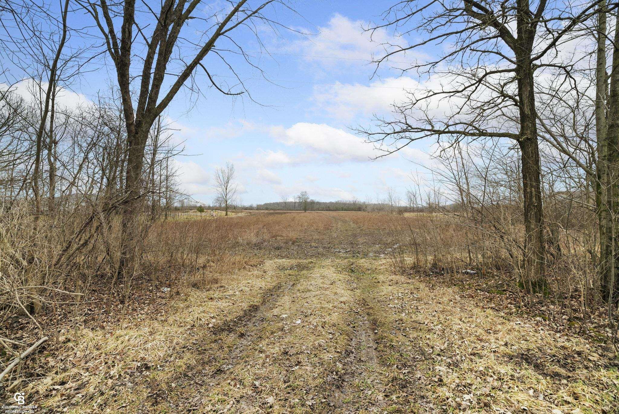 11717 Rynn Road Emmett, MI 48022 - Photo 9 of 11