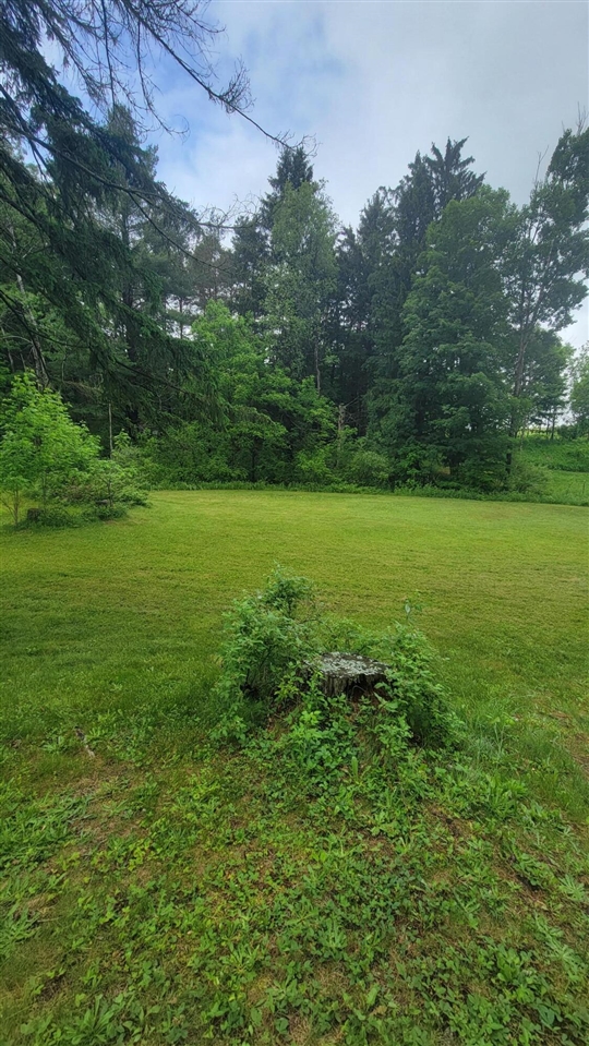 23580 22 Mile Road Paris, MI 49338 - Photo 8 of 28