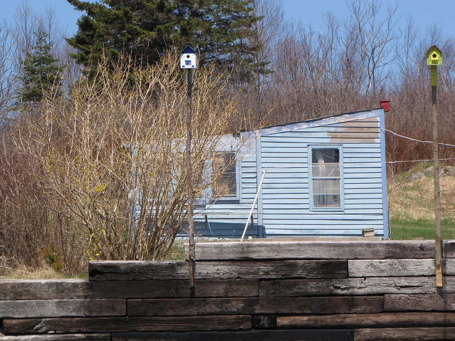 420 Number Nine Road Cutler, ME 04626 - Photo 49 of 55 IMG_8844