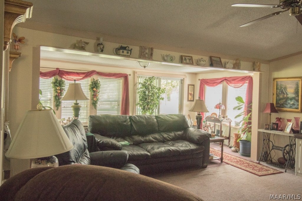 3911 County Road 10 Samson, AL 36477 - Photo 14 of 31 Gallery Image 14