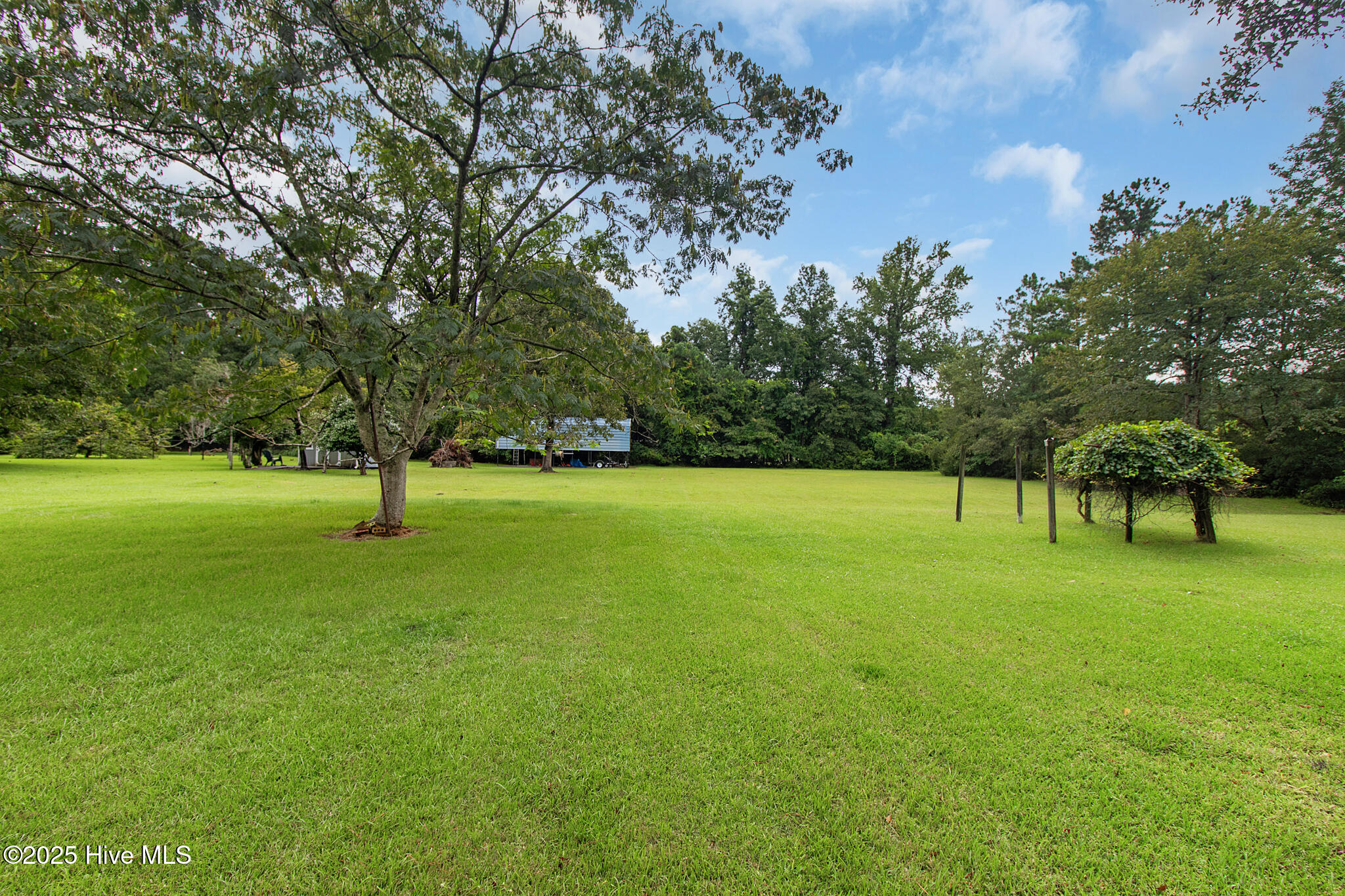 201 Queens Road Hubert, NC 28539 - Photo 47 of 59 View of grapevines and landscape of adjoining lot (also available for purchase)
