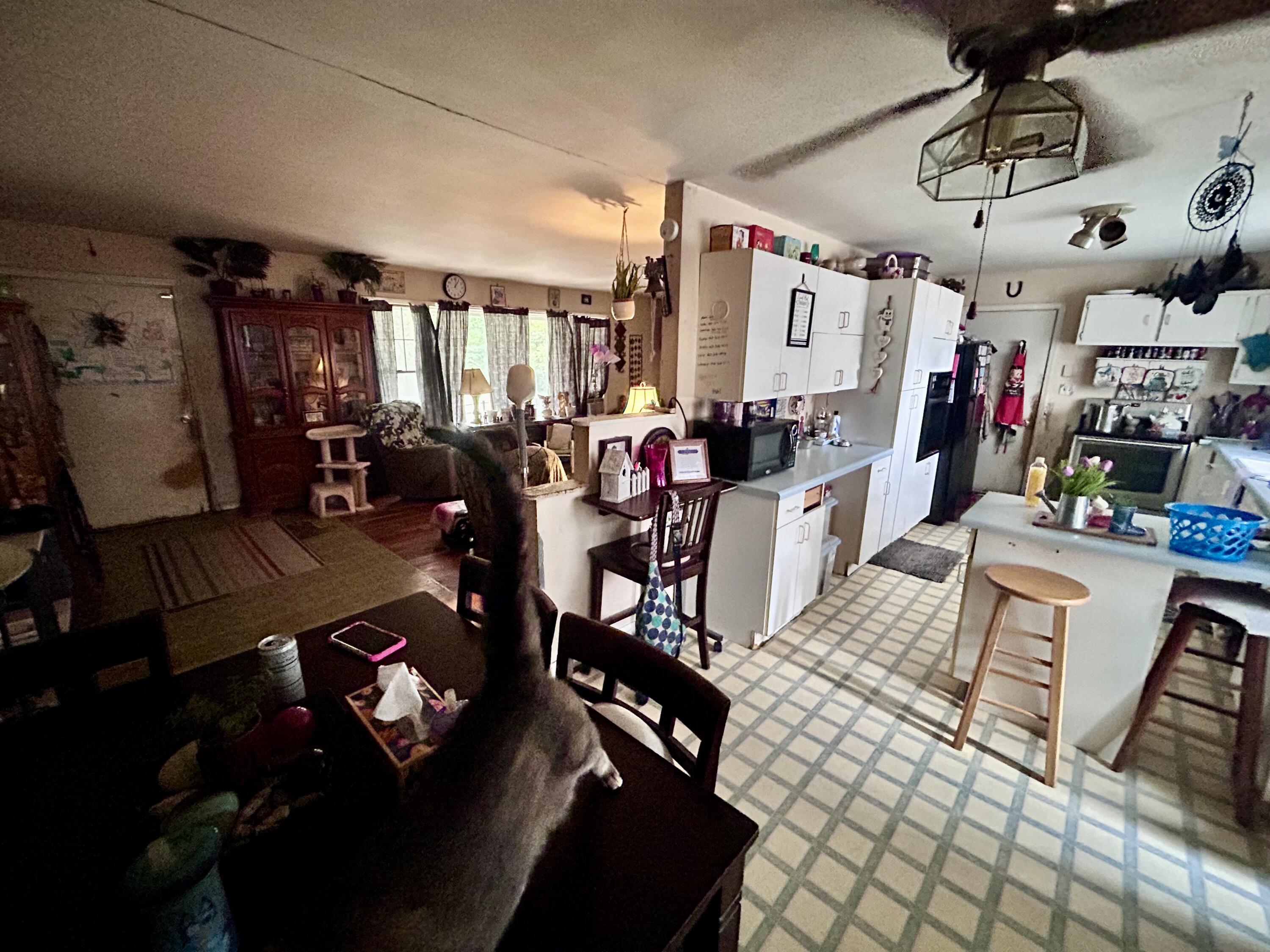 178 Cherokee Trail Ringgold, GA 30736 - Photo 15 of 33 IMG_7879