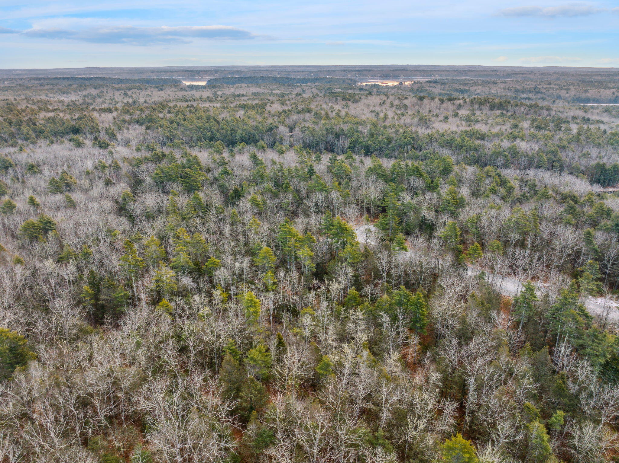 Lot 5 Fisher Pond Road Woolwich, ME 04579 - Photo 5 of 7 4-web-or-mls-DJI_20240103092100_0071_D