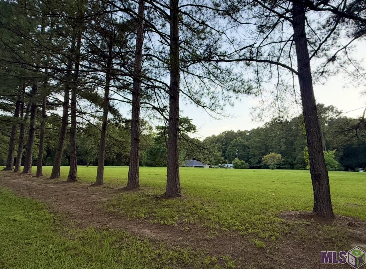 2363 Holly Ridge Road Jackson, LA 70748 - Photo 48 of 49