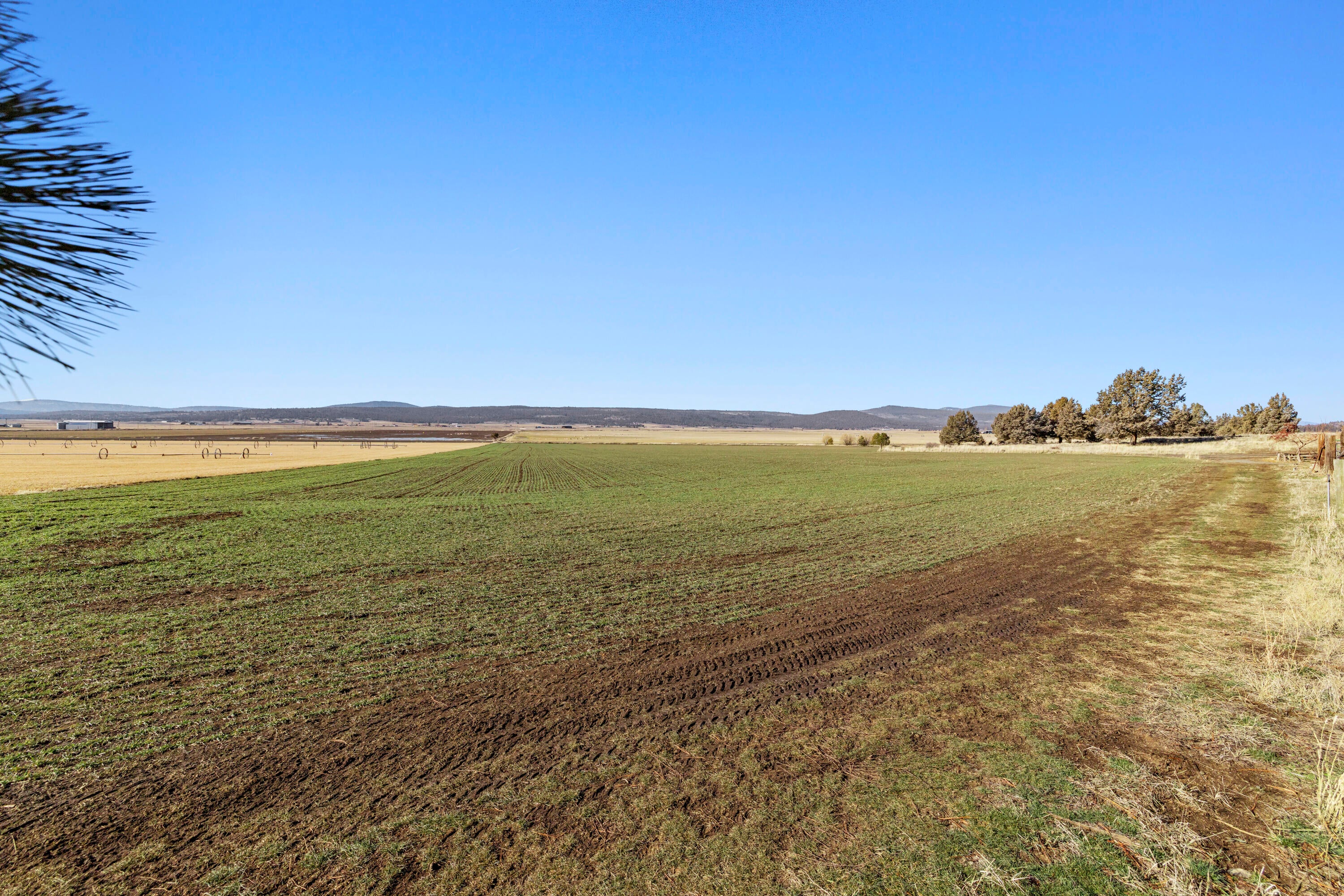 5415 Haskins Road Bonanza, OR 97623 - Photo 62 of 96 Dry Land Hay