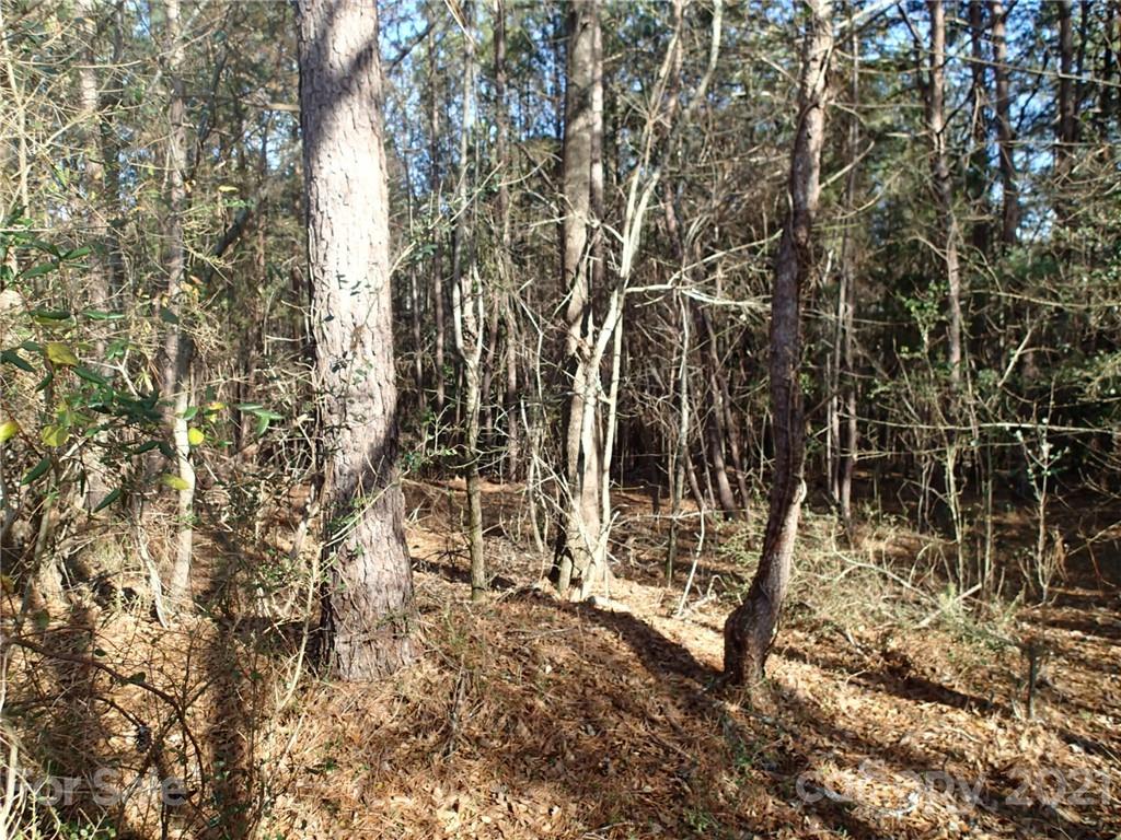 796 Ledbetter Road Spindale, NC 28160 - Photo 22 of 28 Gallery Image 22