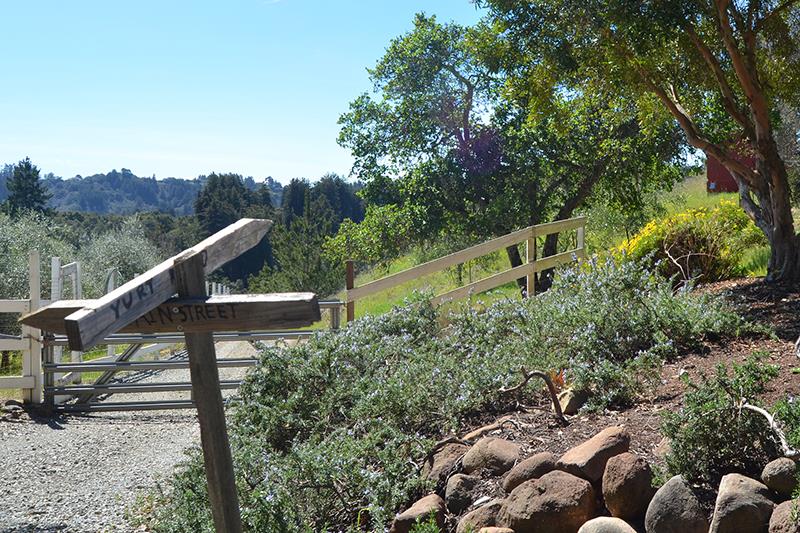 867 Calabasas Road Watsonville, CA 95076 - Photo 23 of 30 Gallery Image 23