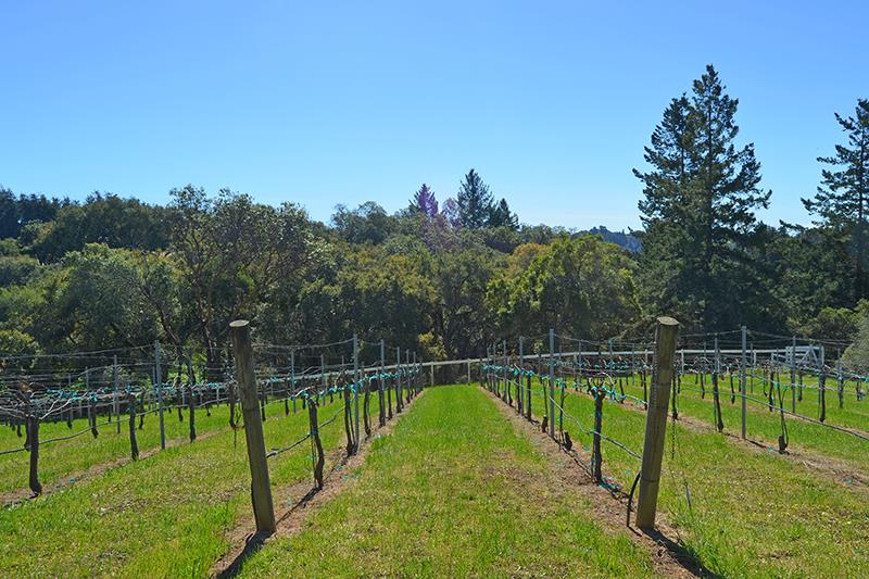 867 Calabasas Road Watsonville, CA 95076 - Photo 5 of 30 Gallery Image 5