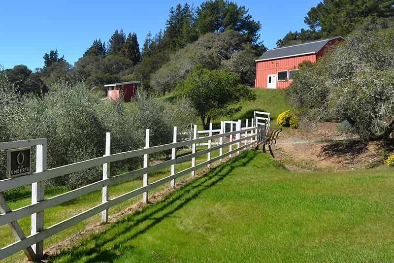 867 Calabasas Road Watsonville, CA 95076 - Photo 8 of 30 Gallery Image 8