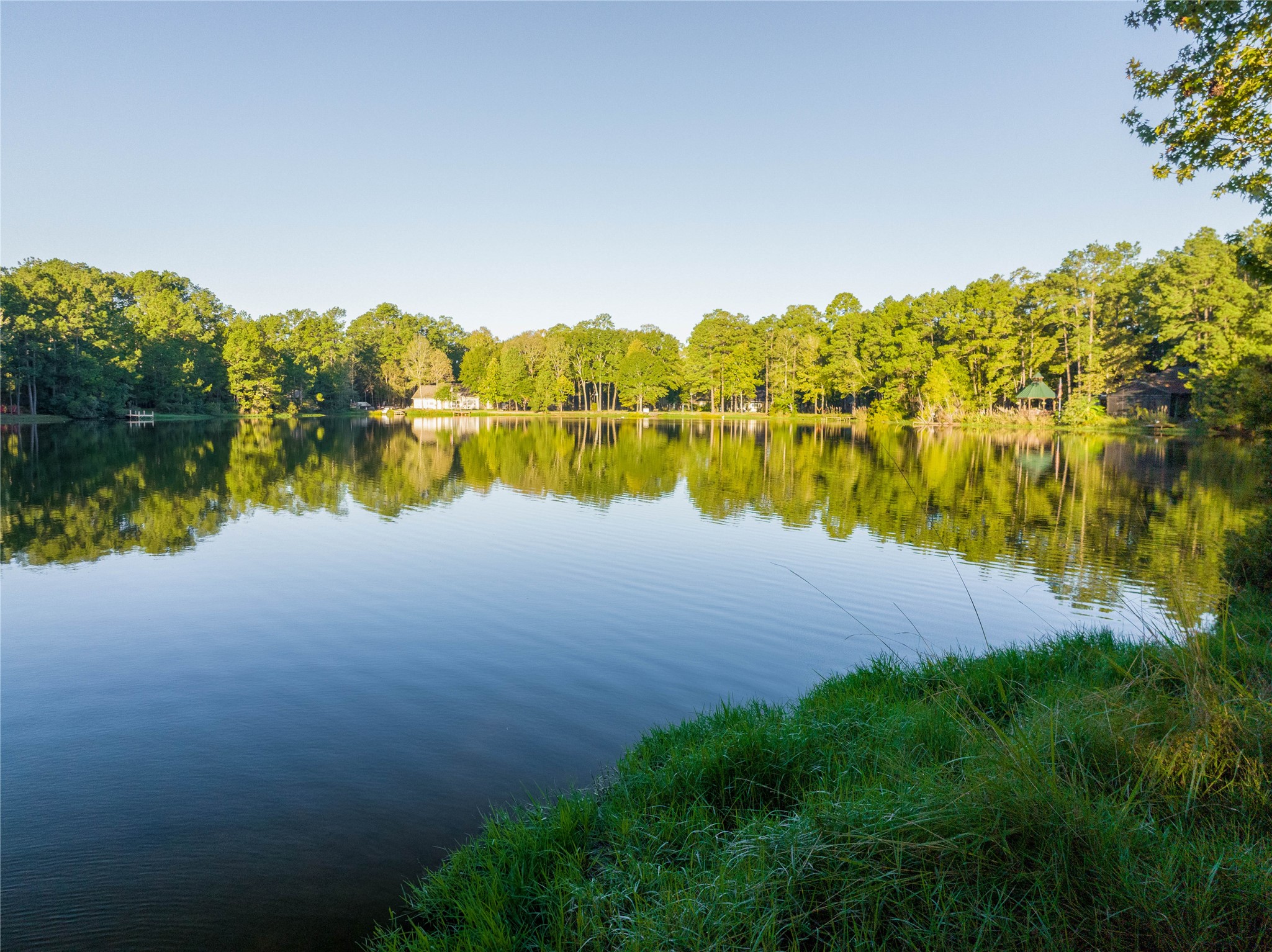 1003 Thor New Caney, TX 77357 - Photo 36 of 45 a view of lake with plants