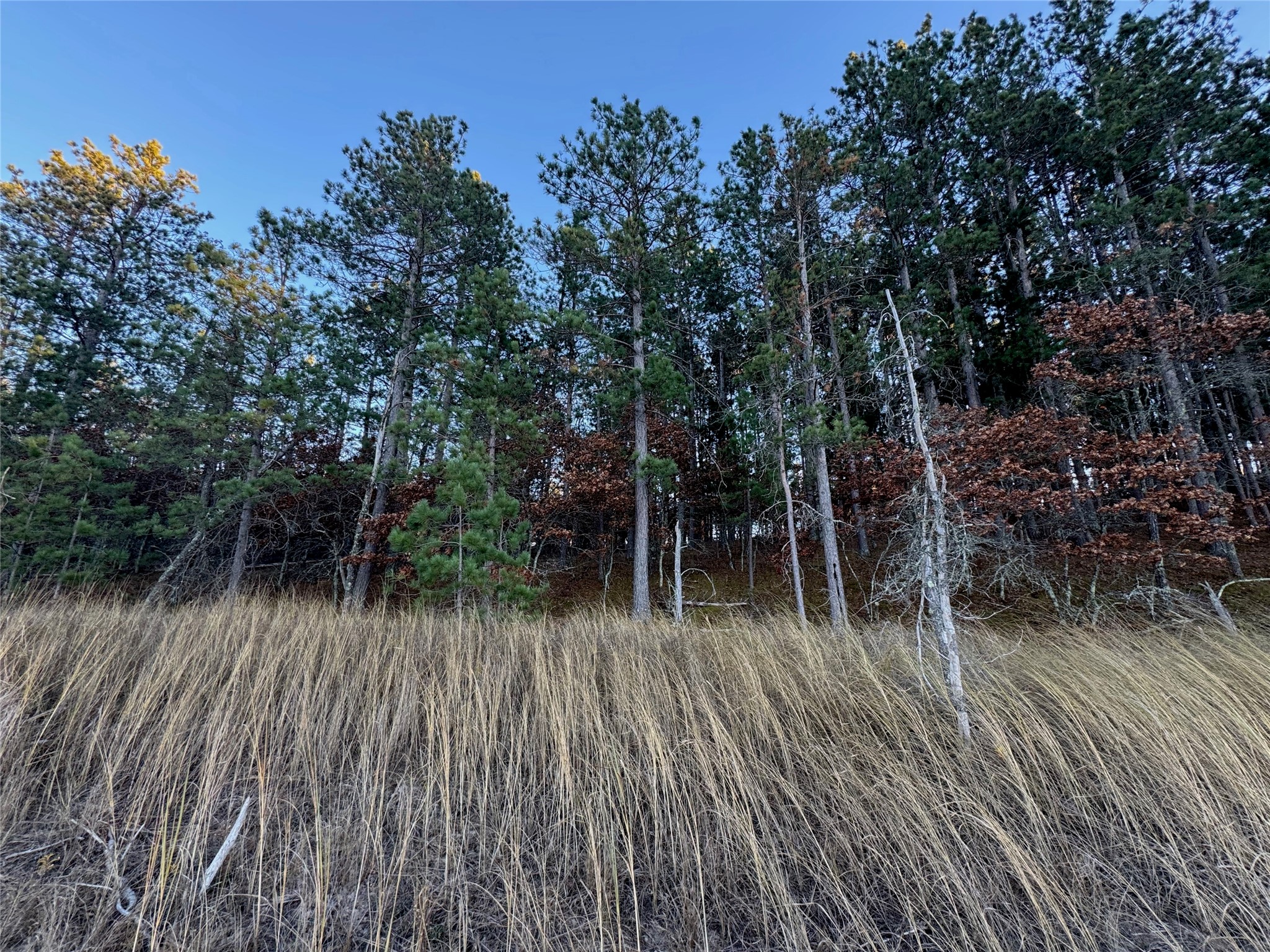 Lot 5 Big Sand Road Minong, WI 54859 - Photo 16 of 30