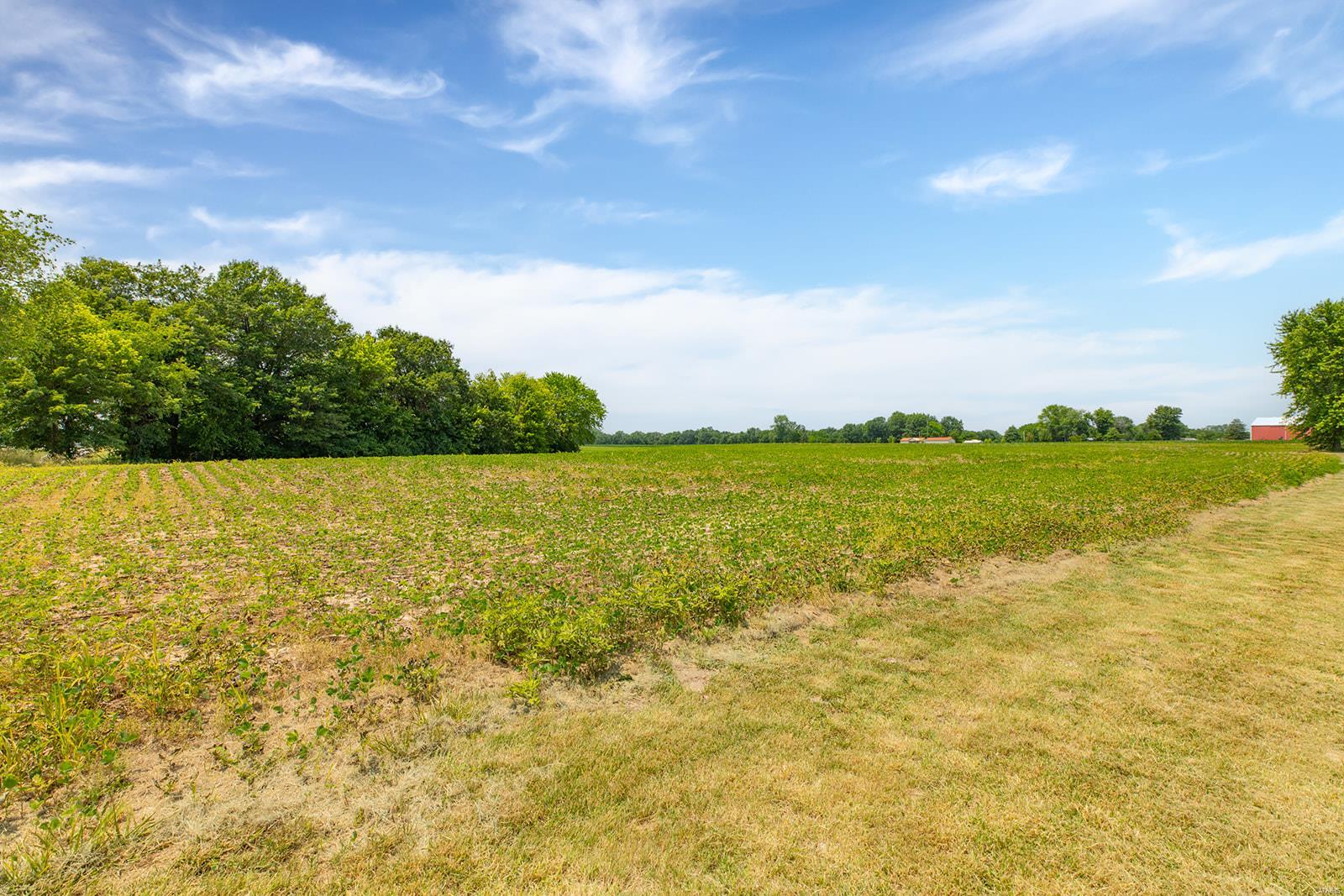 4519 Shipman Cutoff Road Bunker Hill, IL 62014 - Photo 15 of 52 Gallery Image 15