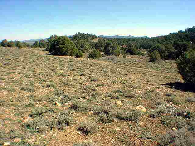 1407-1410 Calavaras Road Reno, NV 89521 - Photo 1 of 1 a view of a field with a tree in the background
