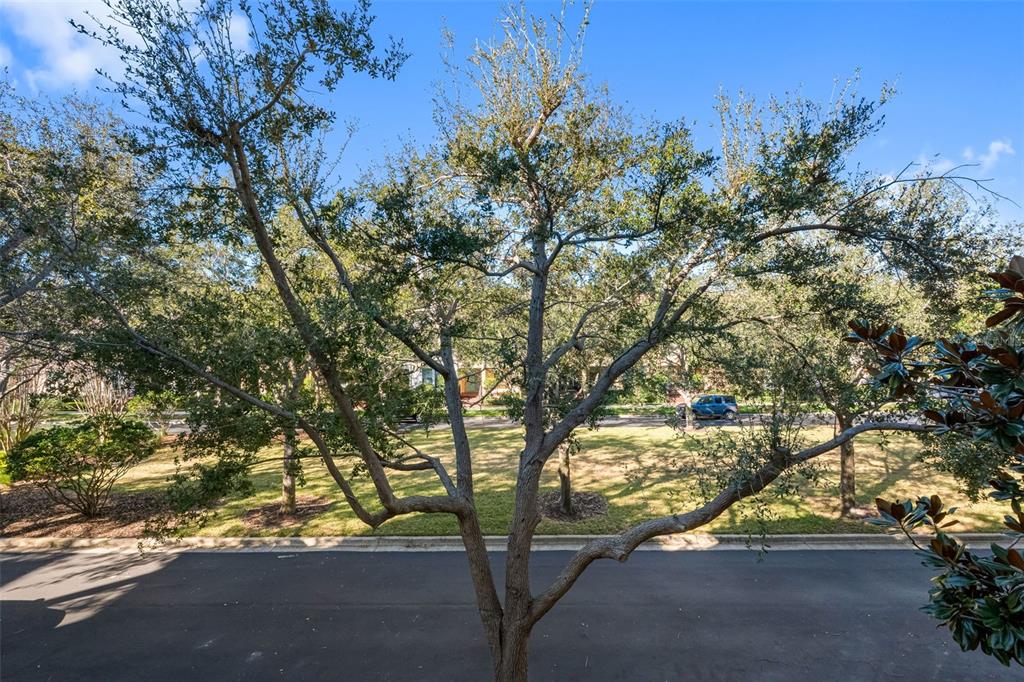 5902 Printery Street, Unit 105 Tampa, FL 33616 - Photo 12 of 54 a view of mountain view