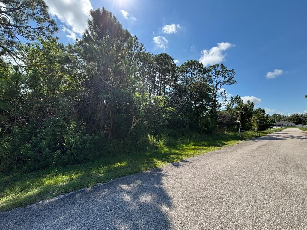 467 Wayland Road Southwest Palm Bay, FL 32908 - Photo 6 of 6 Gallery Image 6