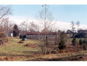 985 Lick Hollow Road Greeneville, TN 37743 - Photo 1 of 1 Photo 1
