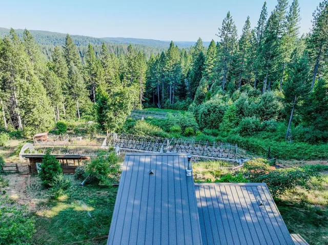 a view of a wooden bench sitting in the forest