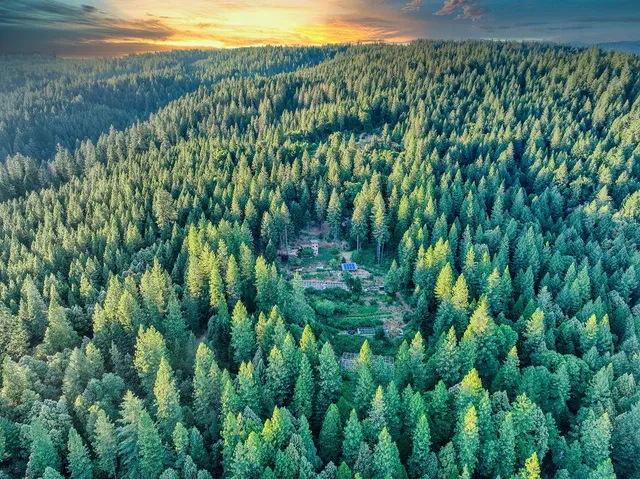 a bedroom with a bed and a chair