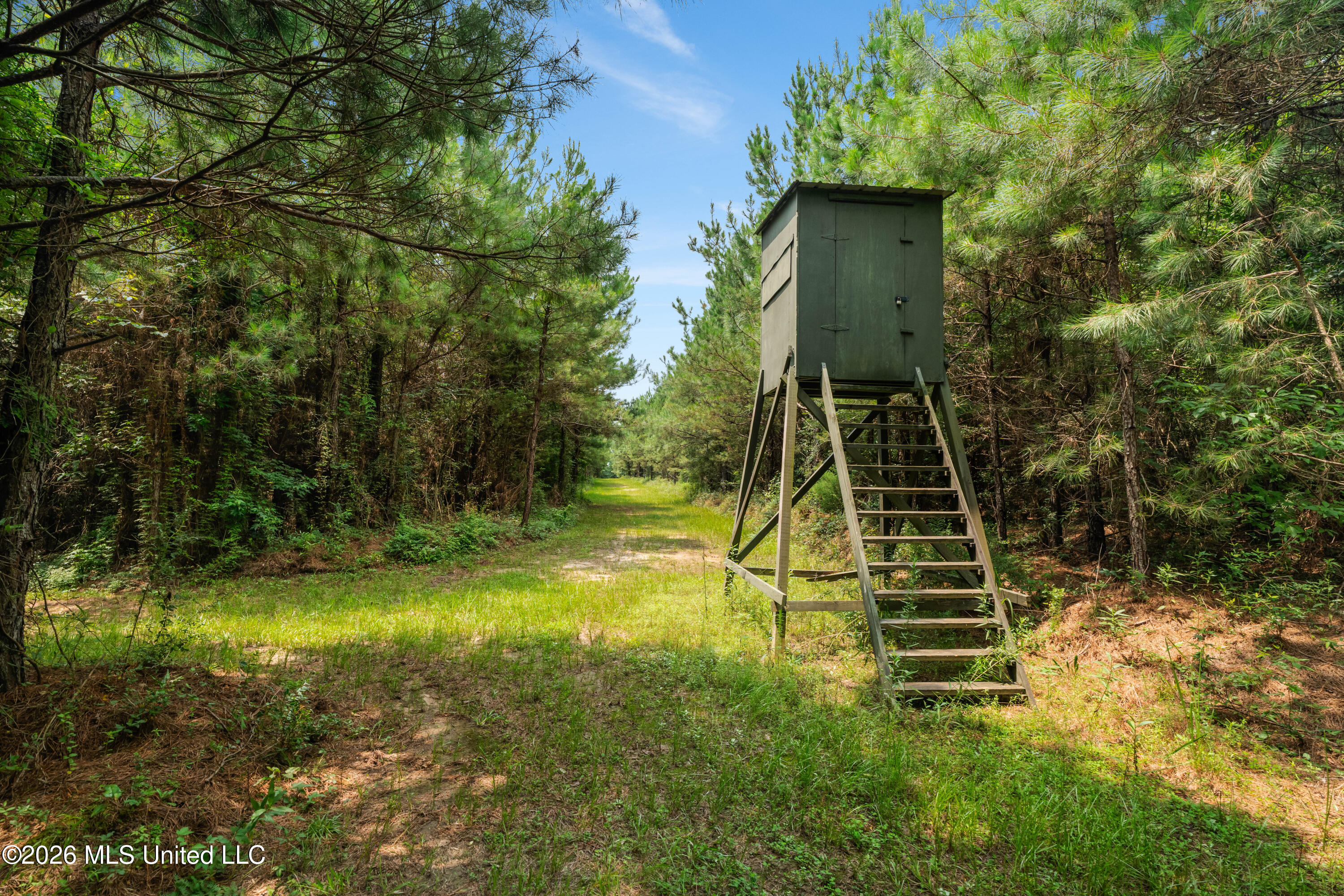 232 Knoxo Columbia Road Tylertown, MS 39667 - Photo 103 of 120 232_Knoxo_Columbia_Rd-102
